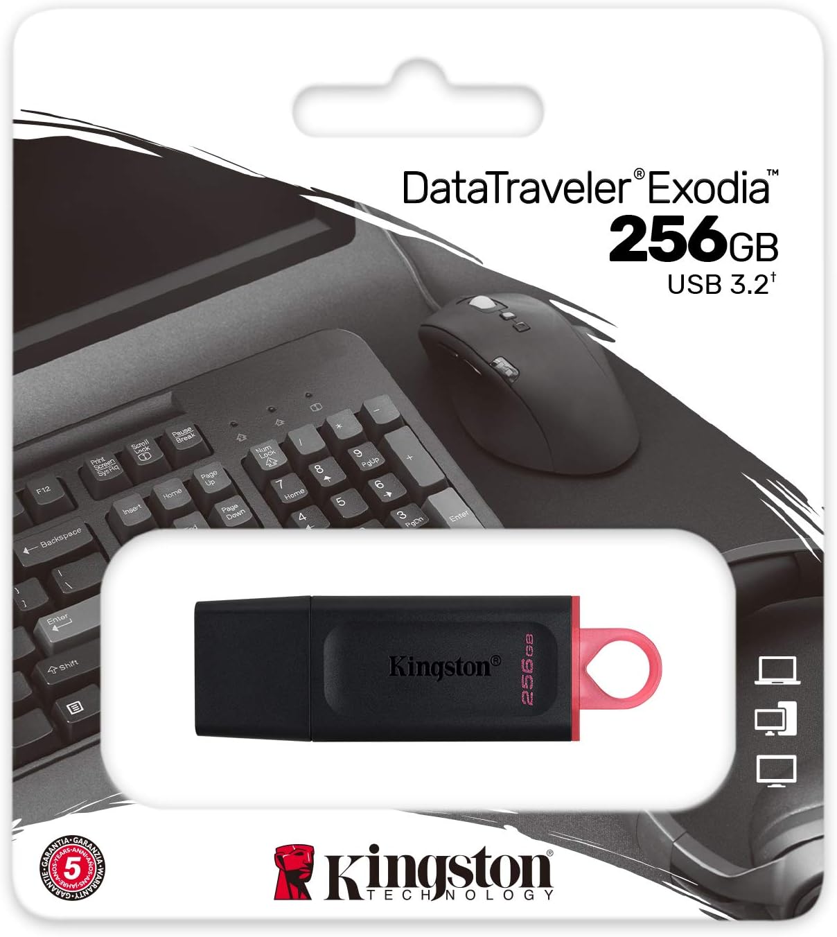 USB Kingston DataTraveler Exodia 256GB USB 3.2 Gen 1 256 GB - trivietpc.vn - Trí Việt Computer 279 phố Vọng